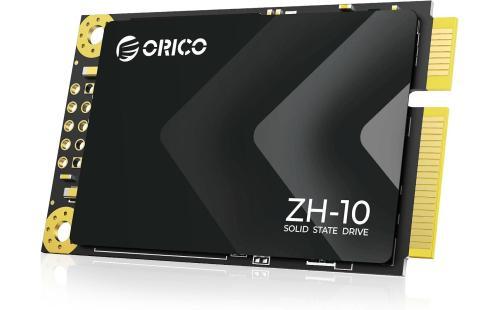 ORICO 256GB mSATA SSD ZH10