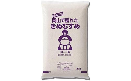 きぬむすめ 10kg 令和6年産 米