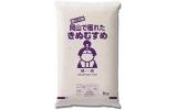 きぬむすめ 10kg 令和6年産 米