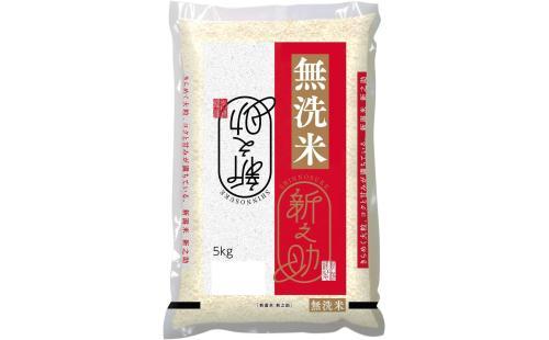 新之助5kg