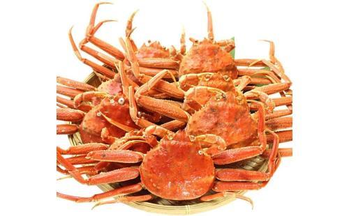 オオズワイガニ メス 2kg 北海道産