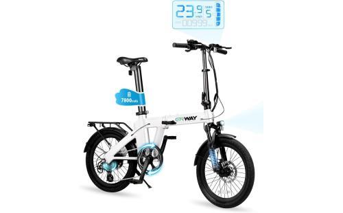 ERWAY 20インチA02折りたたみ電動自転車