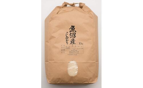 魚沼産コシヒカリ10kg