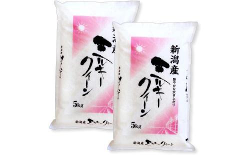 新潟産ミルキークイーン白米10kg