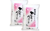 新潟産ミルキークイーン白米10kg