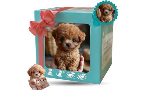 AI犬 - ウォーキング、barえ、尾の膨らむ A