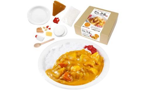 サンプルん vol.5 カレーライス