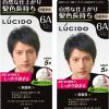 LUCIDO ワンプッシュカラー 無香料 アッシュブラウン 2個