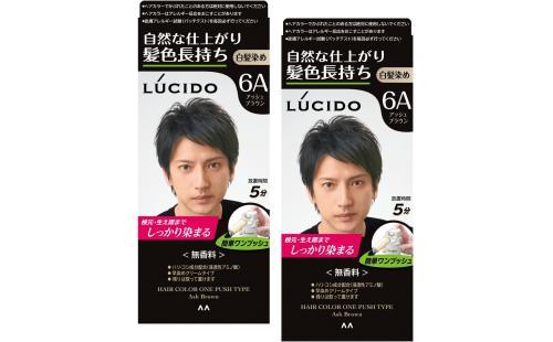 LUCIDO ワンプッシュカラー 無香料 アッシュブラウン 2個