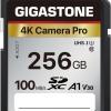 Gigastone 256GB SDカード A1 V30 U3
