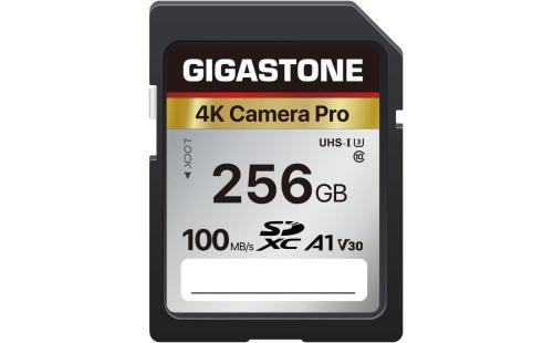 Gigastone 256GB SDカード A1 V30 U3