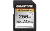 Gigastone 256GB SDカード A1 V30 U3