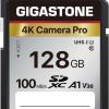 Gigastone 128GB SDカード A1 V30 U3
