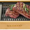 SOLEMOOD 焼肉プレート1200W