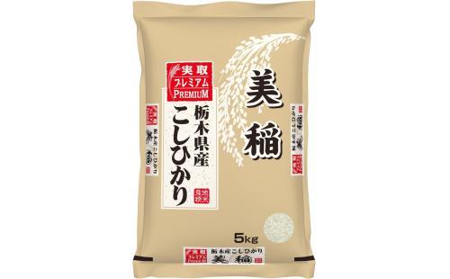 こしひかり 美稲 白米 令和5年産