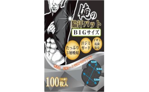 NOSTEEZ 脇汗パッド BIGサイズ 100枚